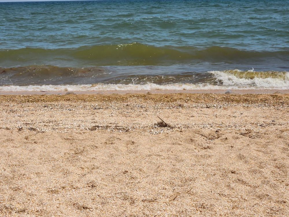 ���������� ����� ����������� ������ ������� � ������������� �������� �������� �������� ������� ����