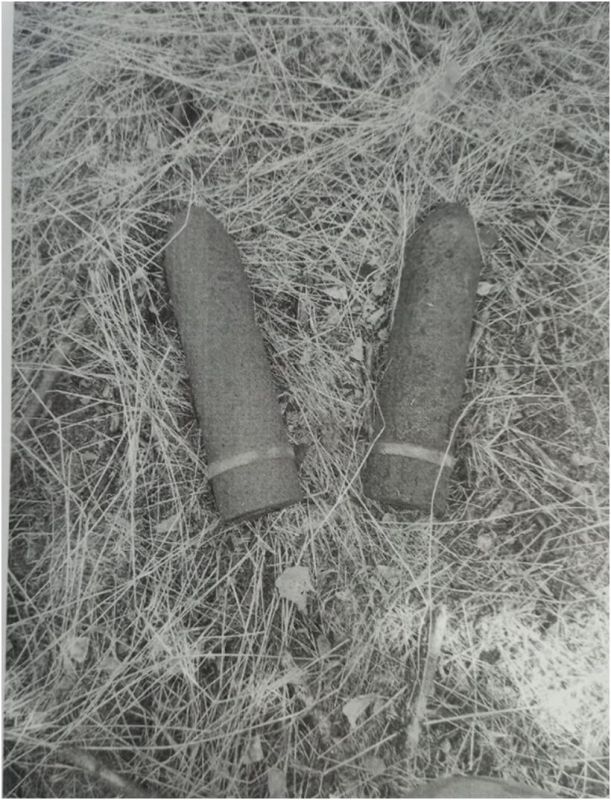 � ���������� ������� ���������� ������� �� ����� ������� 4 ������ � ������������