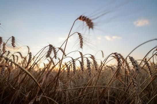 �� ���������� ���, ���, ����������� ������� � ���������� ������� ������������ ��������� ��������