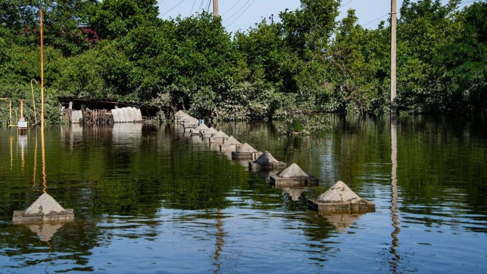 ������������ �� ���������� �� ���������� ��������� 163 ��� ������