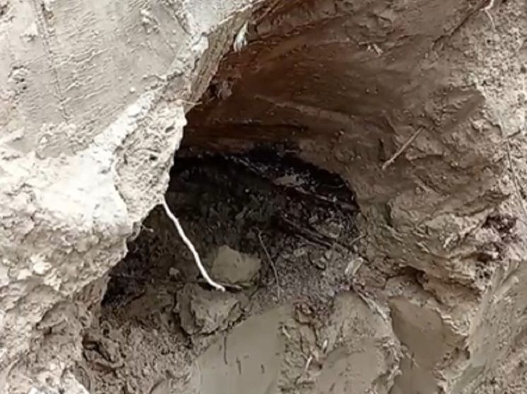 ��������� ����� ��� ���������� ��� �������� ������� ������� ��������������