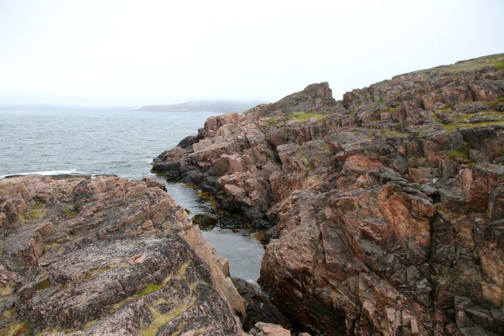 � ���������� ������� ������� ���� ��������� ������������