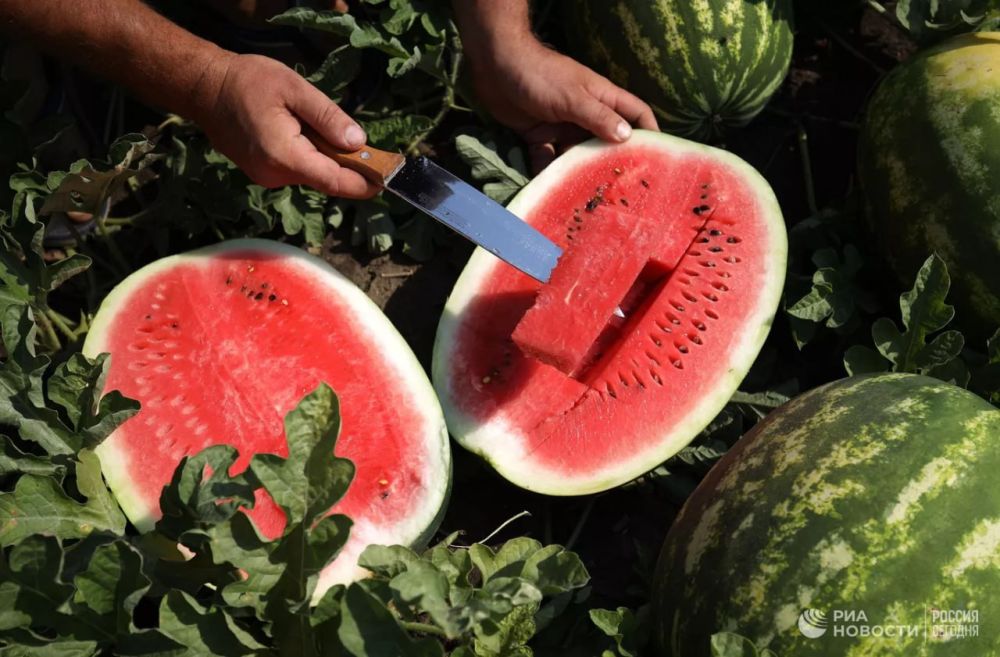 ���������� ������� ��������� ������� 16 ����� ���� �������