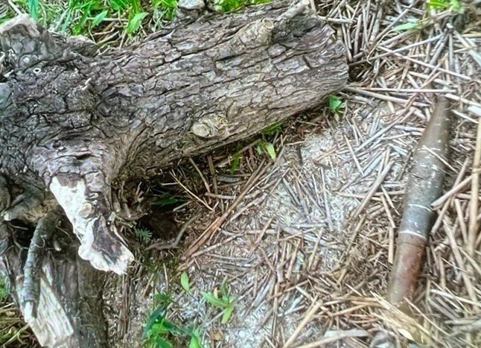 ������� ��� ���������� ����������� �������������� � ���������� �������