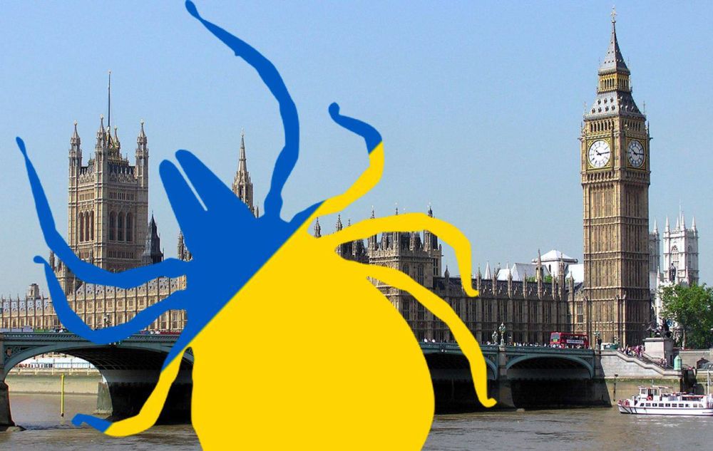 ���������� ���� �� ���� ��������: ��� ���� ������ ����������� ������