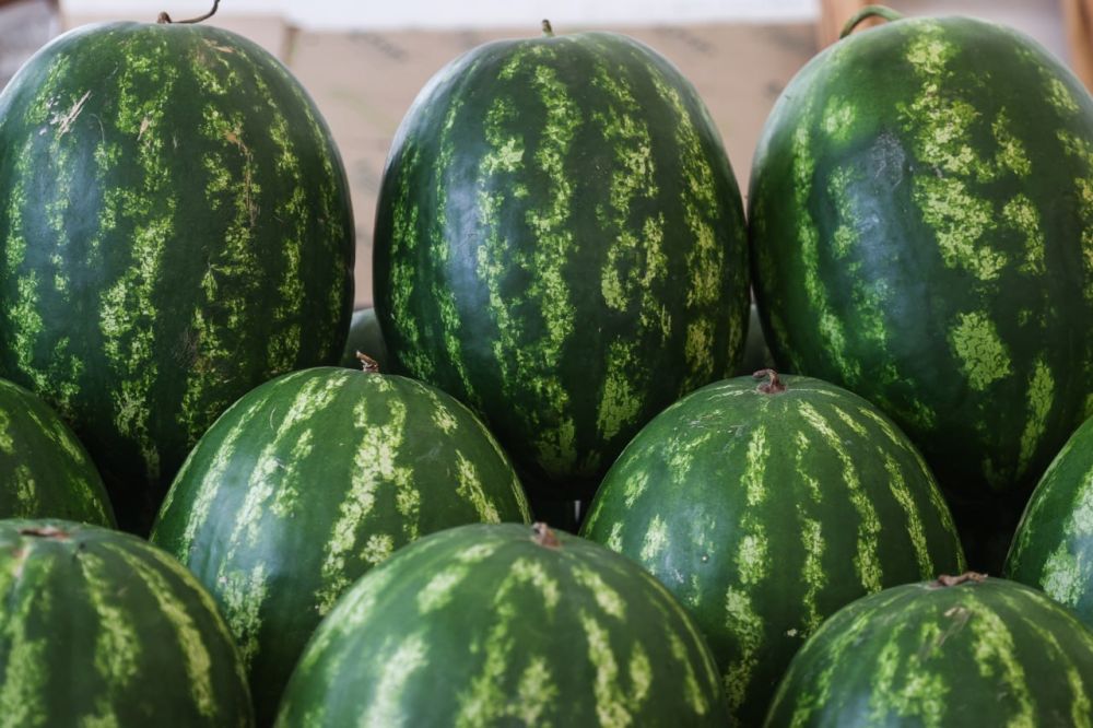 � ���������� ������� ��������� ������� 16 ����� ���� ��������