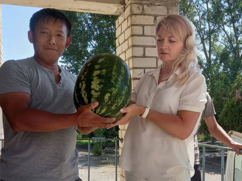 ���� ������ � ���������� �������: ������� ������� ������ ������� �������