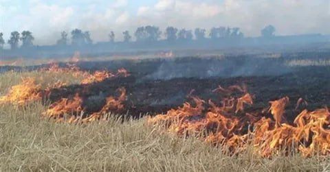 � ����� ������� ������������� ���������� �������� � �������� ������