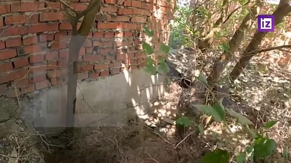 ����� �����: ������ ���������� � ���������� ������� ����� � ������������ ���������� �����������