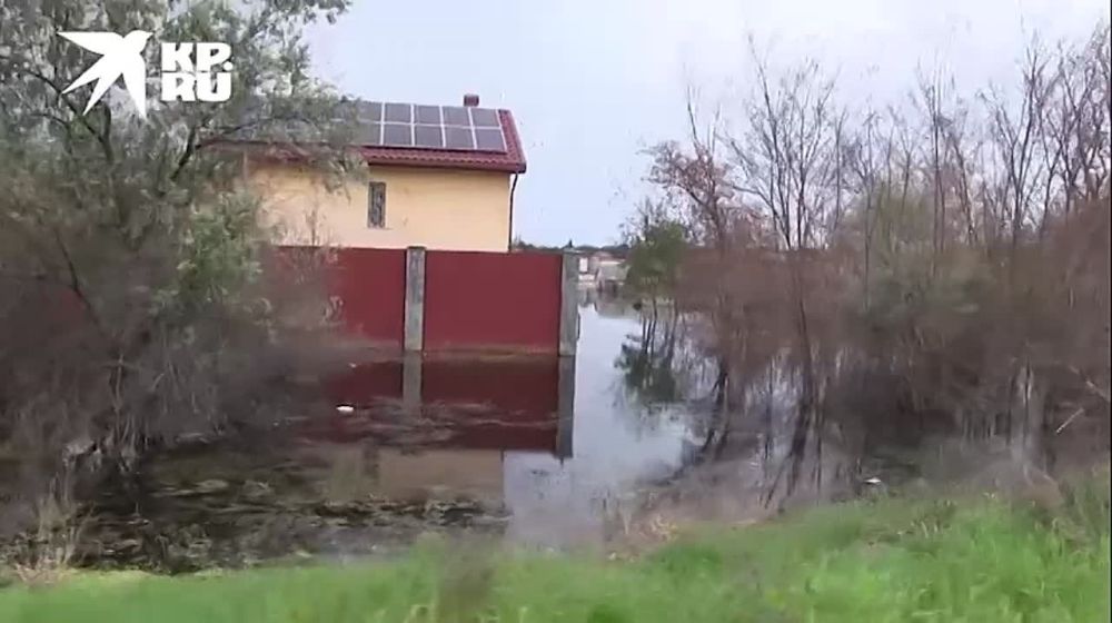 ��� ����� ���� �� ����������� ����������� ����������