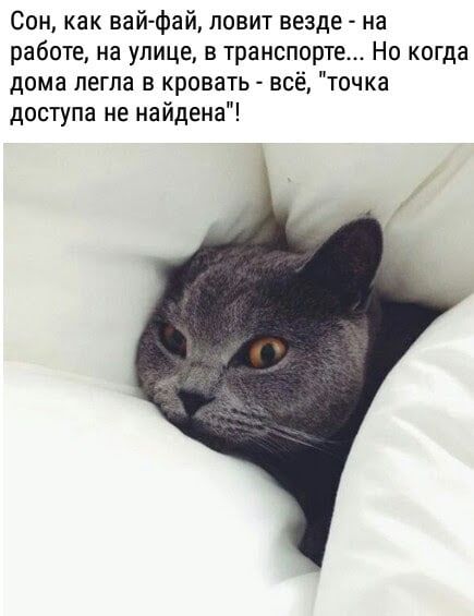 ������ ����, ������! ��������� � ��� ������, �� ��� ��� ��� �� ������� ��������, ����(�) � �������, ��� ���� ����������, ��������� ������� � ���� ��� ���������