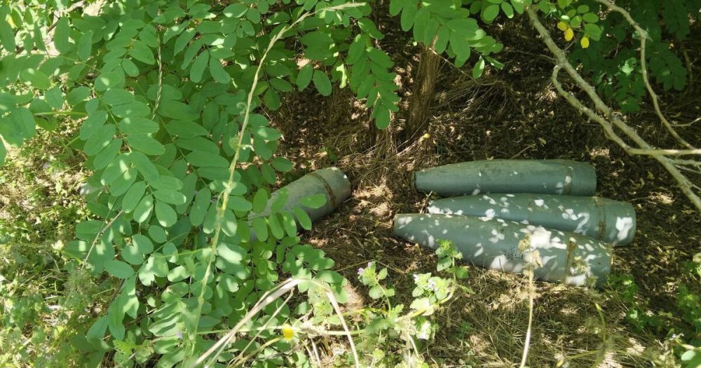 �������������� ������� ���������� � ������������ ������