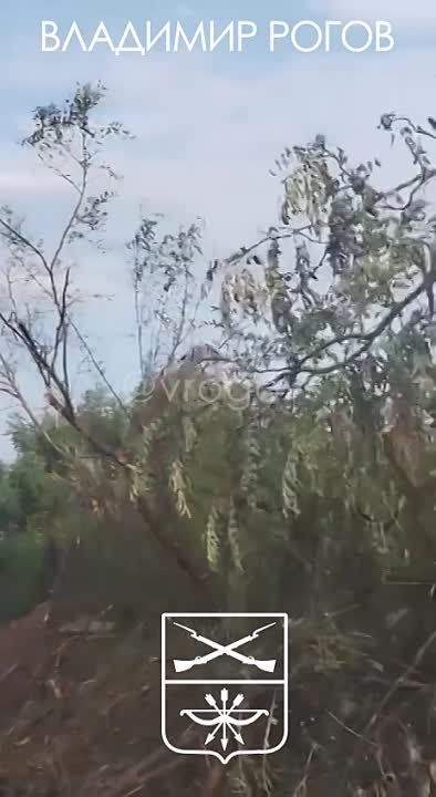 �������� �����: ������� ���������� ���� - ����� � ��������� ��� ��������