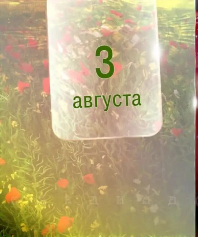 ���� ������, ������ �������