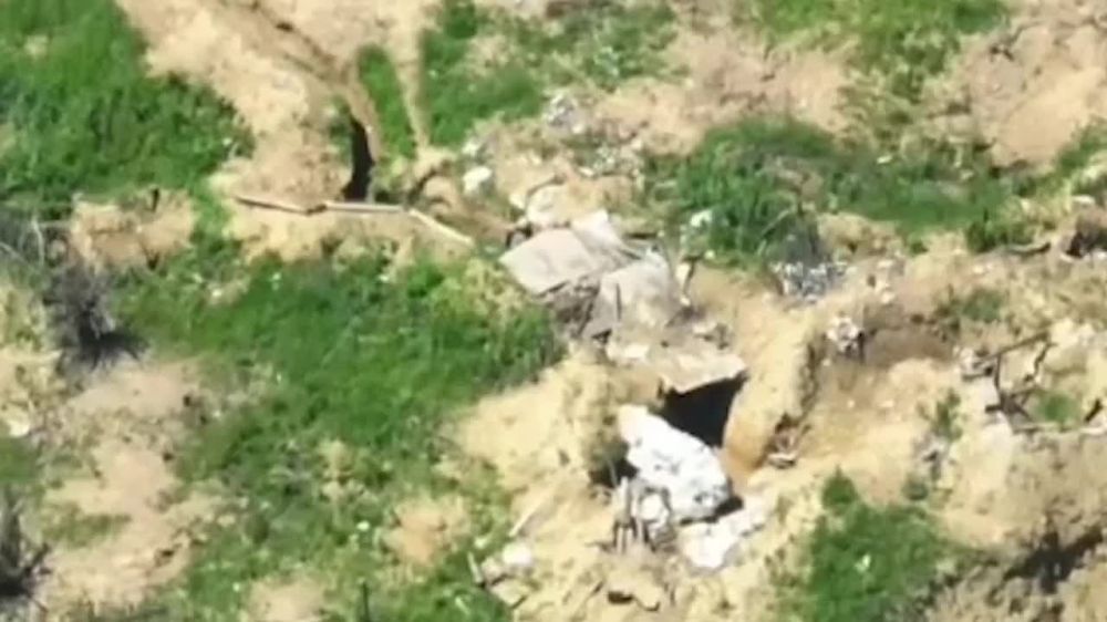 ���������� ������ ������������ ����� ����������� �������� ������ ��� �� ����������� �����������