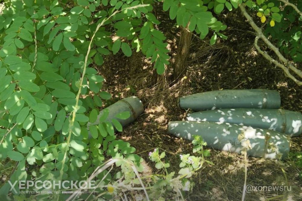 ����� � ��������������� ������������ ���������� �������� �� ���������