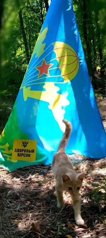 ����� �������. ���� ������ ����� � �����.. �� ���������� �����: