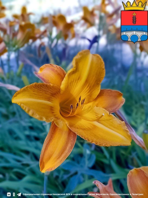 ������ ����, �������!. @VGA_Kakhovka