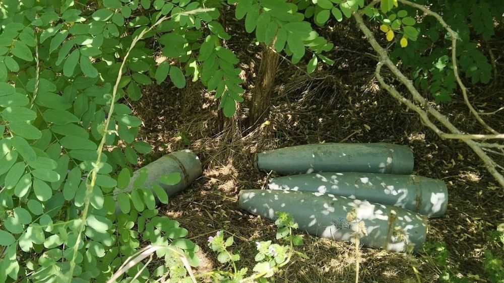 ����������� ���������� ������� ����� � ������� ���� �����������