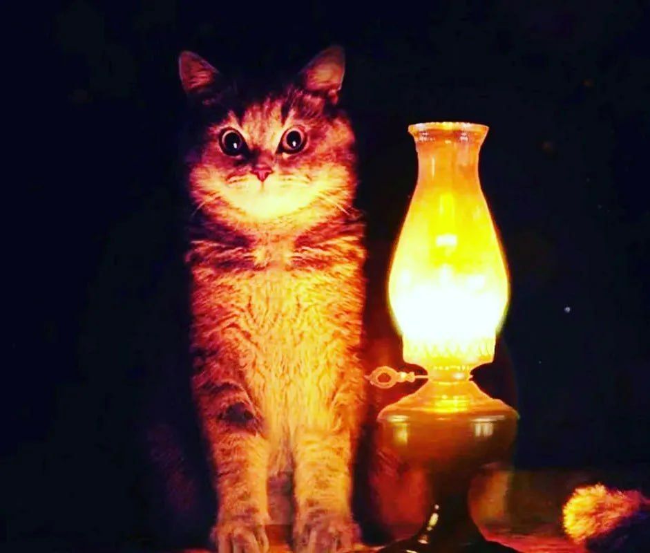 � ����� ������� ������������� ��������� ���������� �����