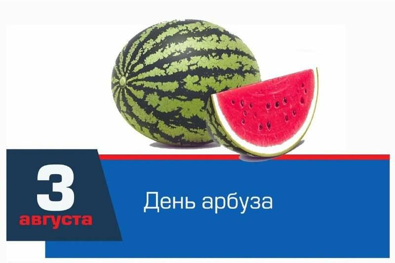 3 ������� � � ������ ���������� ���� ������!