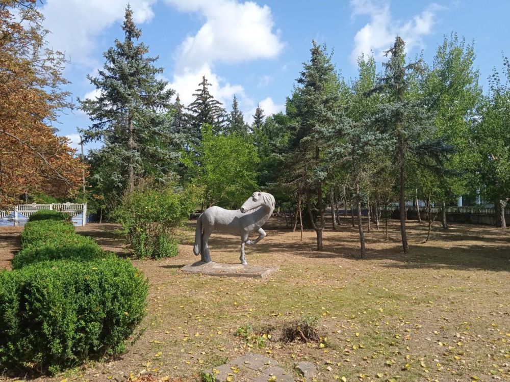 ���������� - �����������