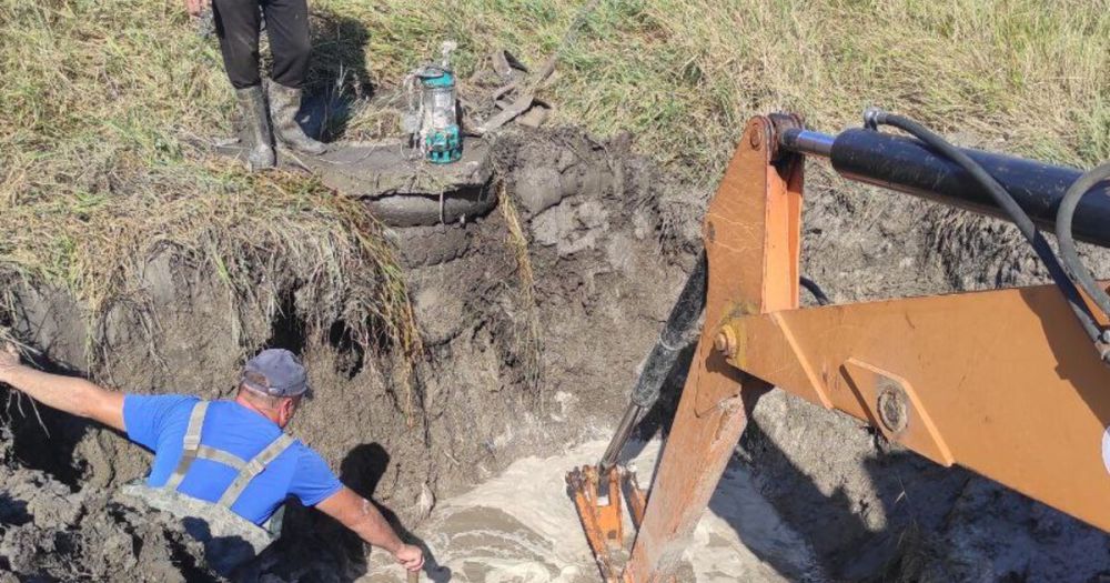 ���� ����������� ������������ � ���������