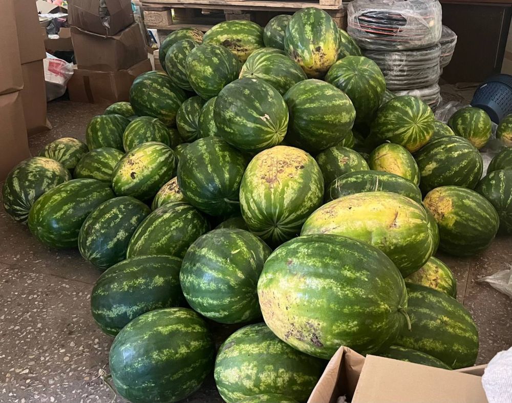 ����� ����������: � ���� ������, ������!. 2 ����� ������� ��� ������������ �� ���������� ����� � ���������� ������� ��������� ��������� ������������ ������ ������� ������