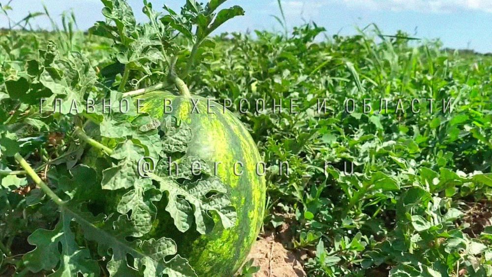 ������� �������� ���� ��� ������ ���� � ���������� ������� �������� ���� ������