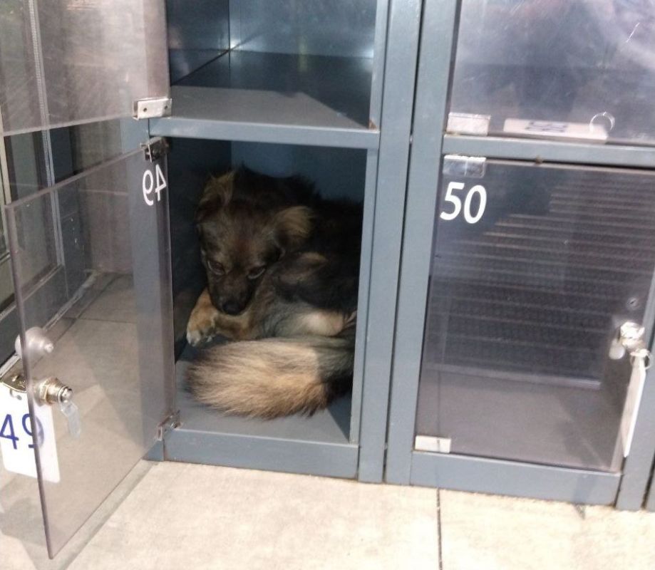 ������� ����� ��� � �����