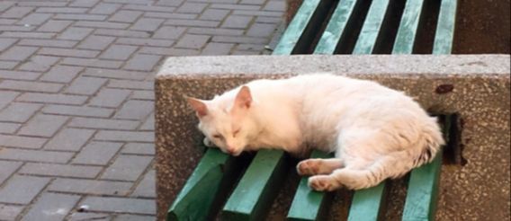 ����, ������� �� ������ ������ ������ ���, ���������� ��������� �������� �������� �����