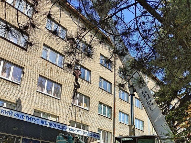 ���������� ����������� ���������� ������������ ������ ����� ��� � ���������� �������