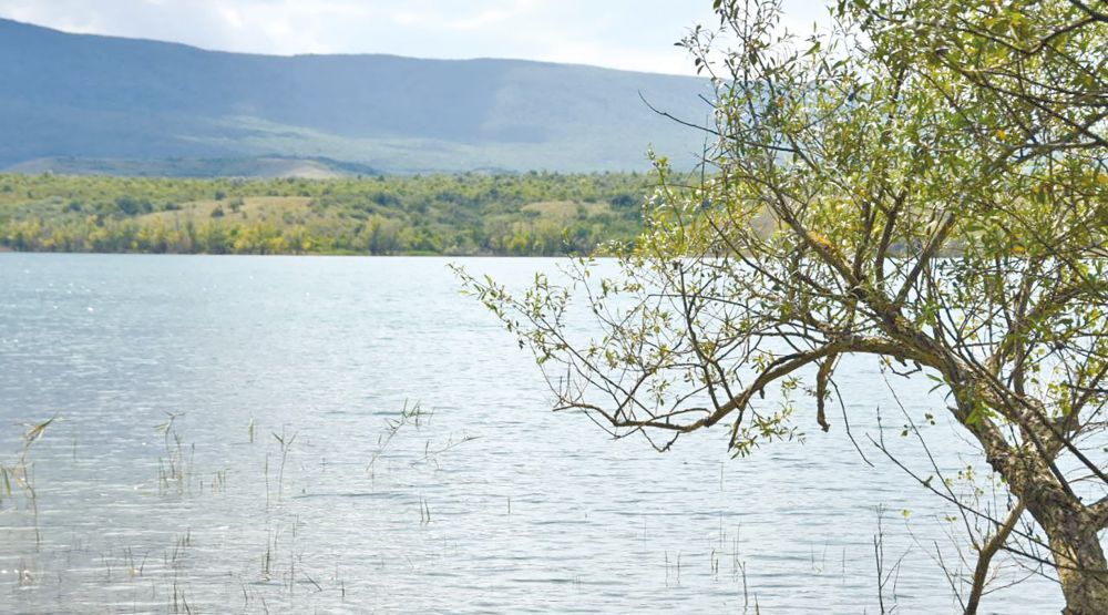 ������ � ������� �������: ��� ������������ �������� � �������� ����� � �����