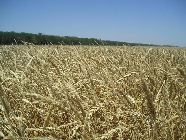 � ���������� ������� ����������� ����� 36 ���. �� � ������ ��������������� �����������