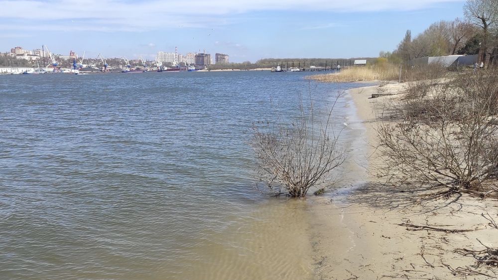 ����� ��������: ��������� ������������ �� �������� ���� � ���������� �������