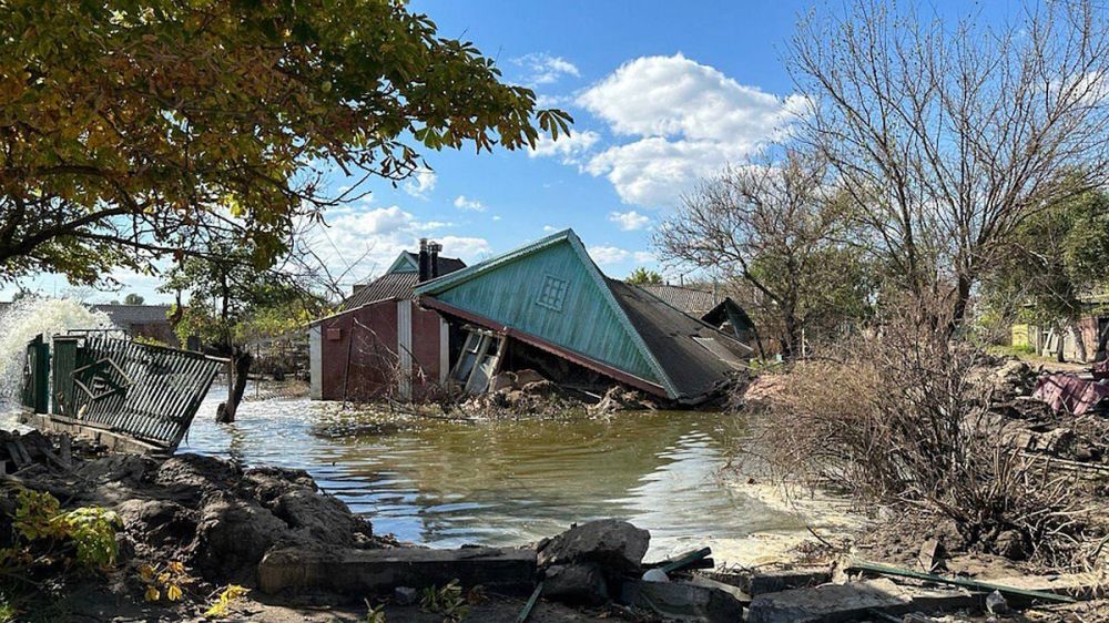 ����������� �� ���������, ����������� ����, �����������: ��� �������� � ���������� ��������� ��� �� 4 �������