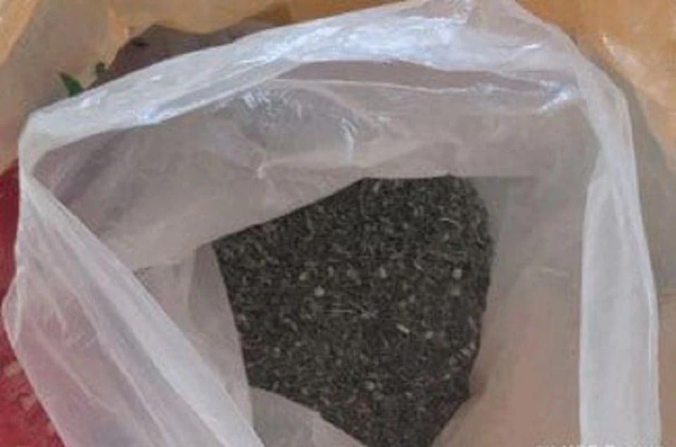 � ���������� ������ ��������� ����� 40 ����� ���������