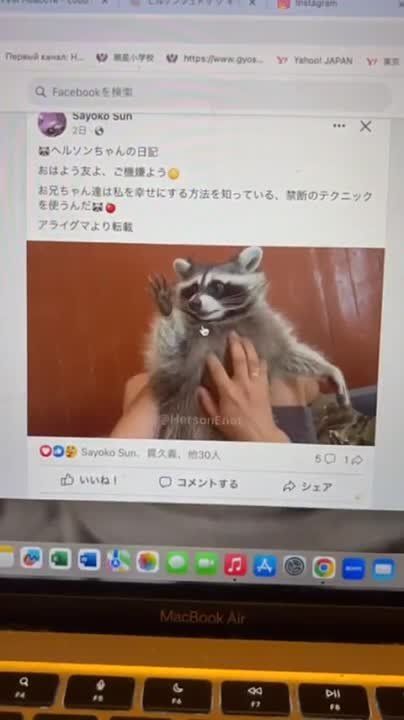 ���� �� �������: ������! �� � �������� ���� ���.