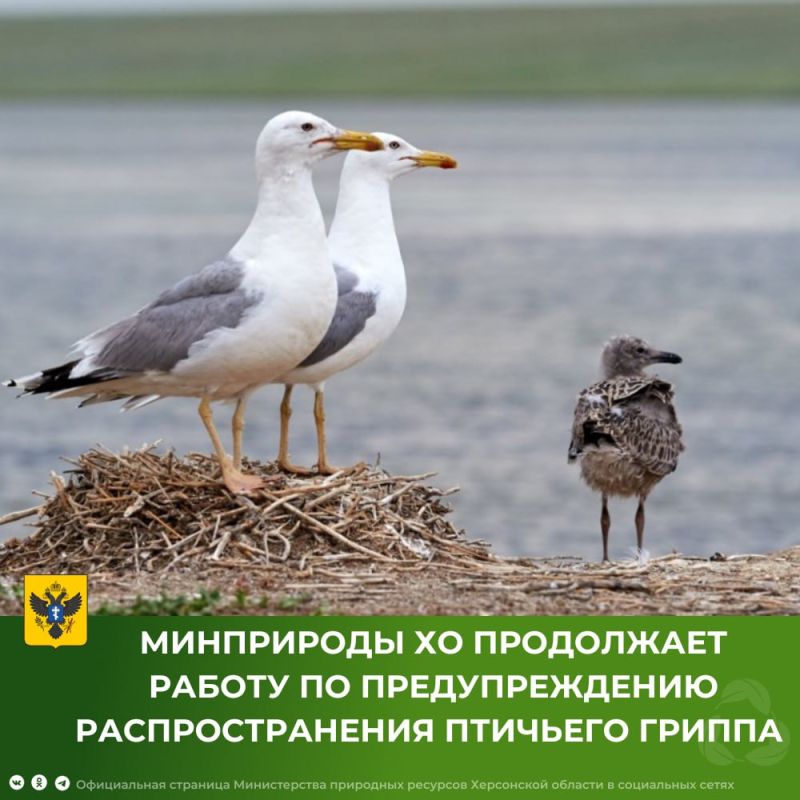 � ���������� ������� ���� �� ����� ���� ����� ������������ ������ ��� ���������� ����������������� �������� ������