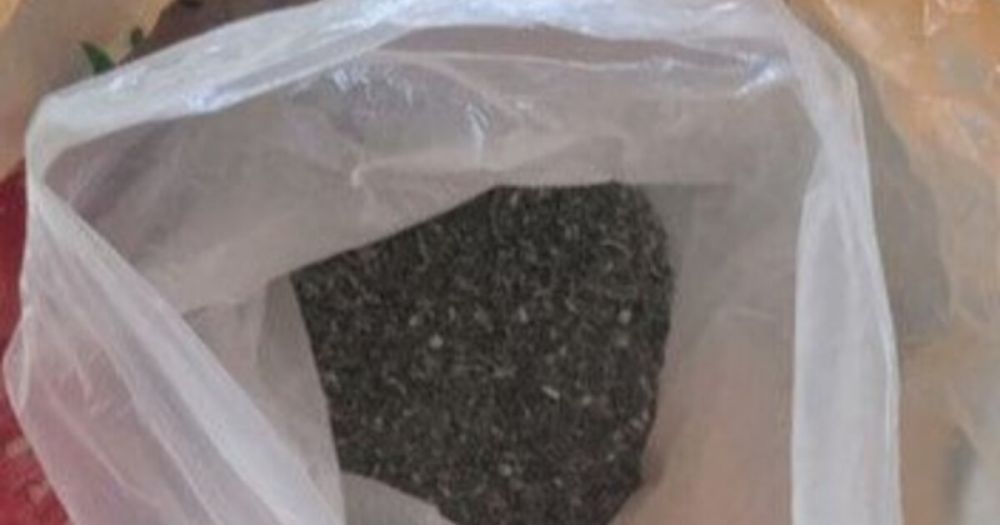 �������� �� ������������� ������ ������ � �������� ���� ������� � ��������