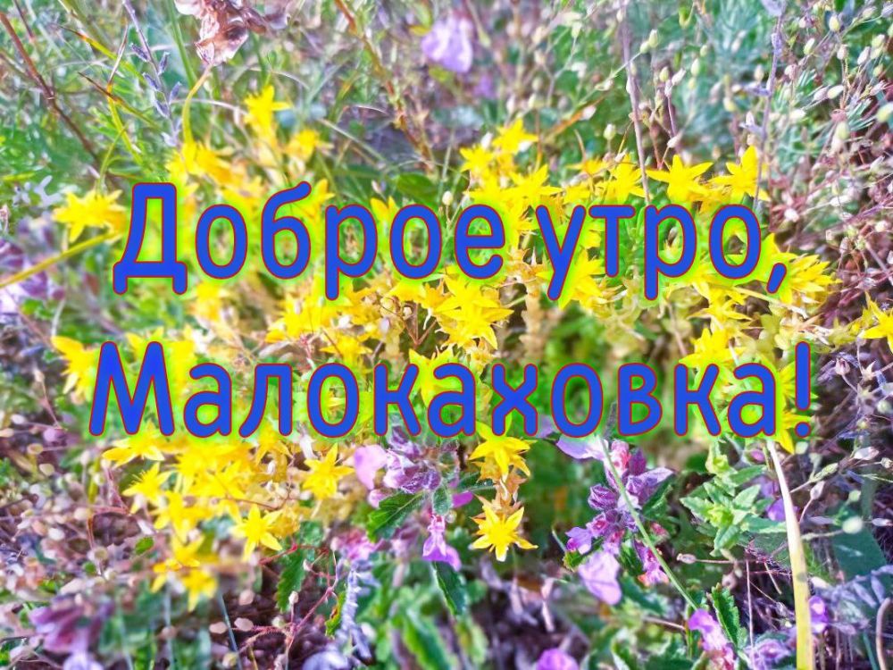 � ������ �����, � ������� ������ ���!