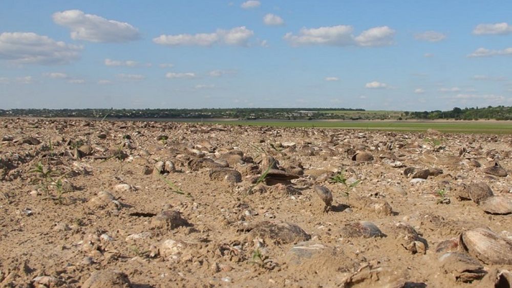 ��� ����������� ��������� ��ѻ: �������� ������ ������ � ��������� ��������� ����������� ��� �������������������