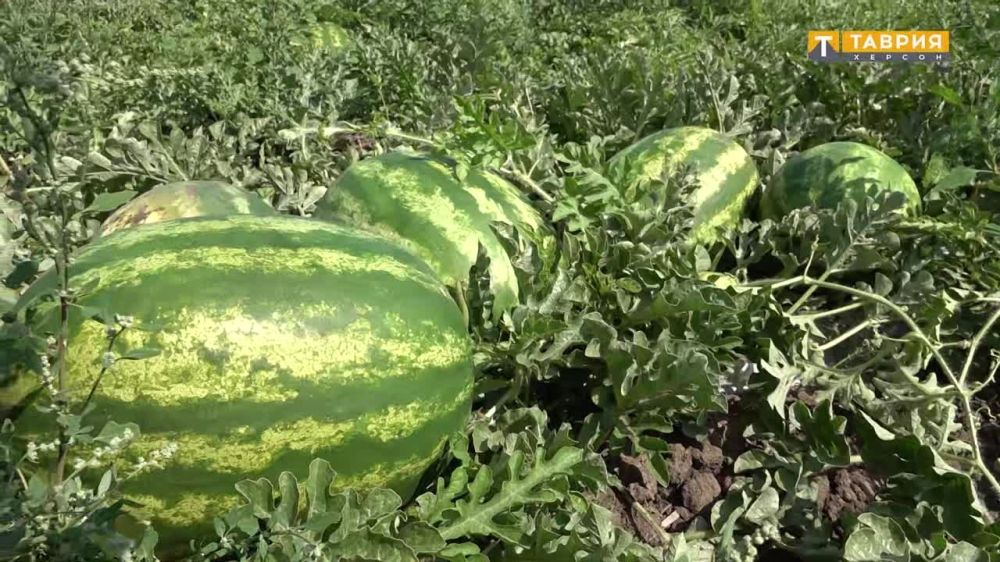 �������������� "������" ������, � ������ ���������� ����������� ������� � ���� ����