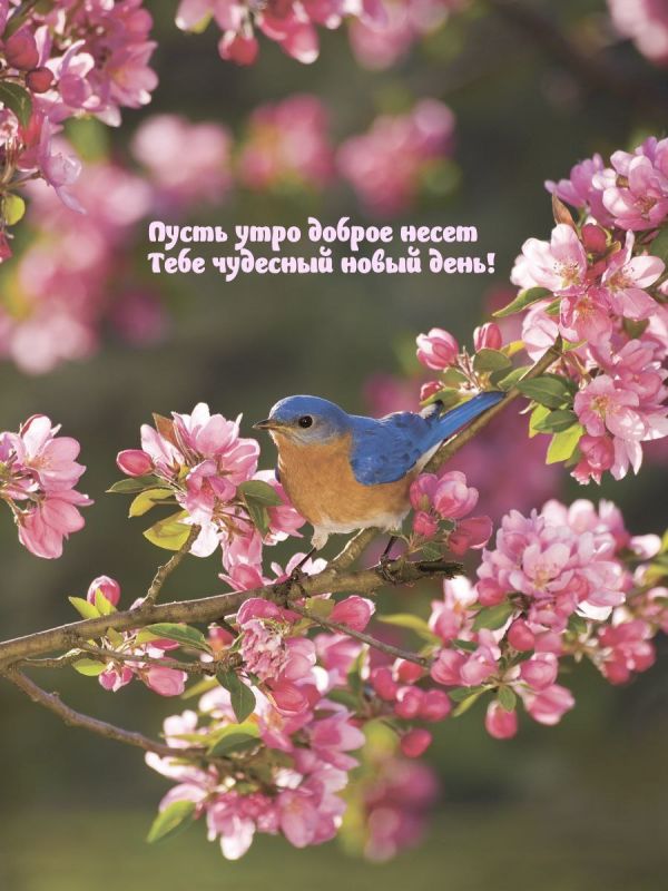 ������ ����. ������� �������� �� �������� ���� � ��������� ����, ����� � ������� ������� ���� �����. ��� �������. ����������� �� +19 ����� �� +33 ����