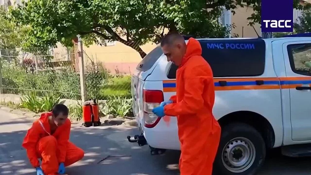 ���������� �������. ���������� ��� ������� ����������� ����� 600 ������ � ����� ������� ����� �� �� ��������� ���...