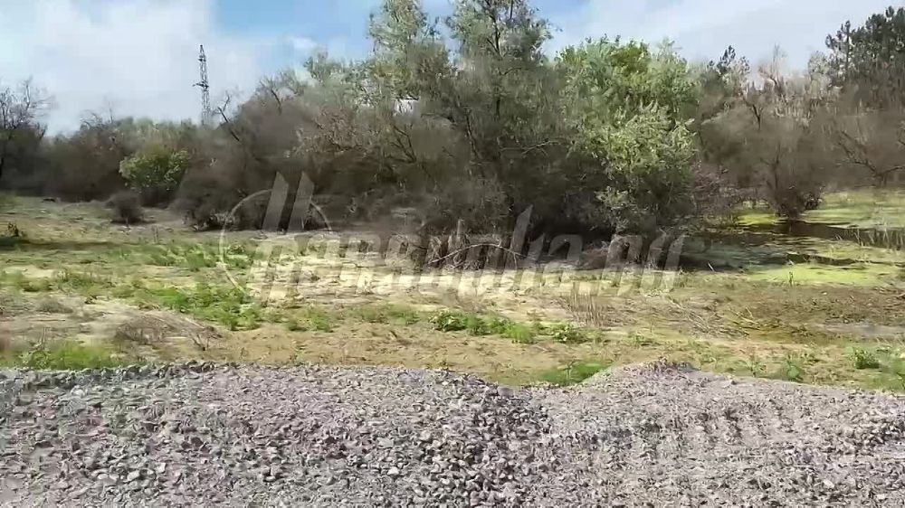 ������ ����� ���� �� ������ � ����� �������� � ������ �������� ������ � ������, �� ������ ��� ����� ����