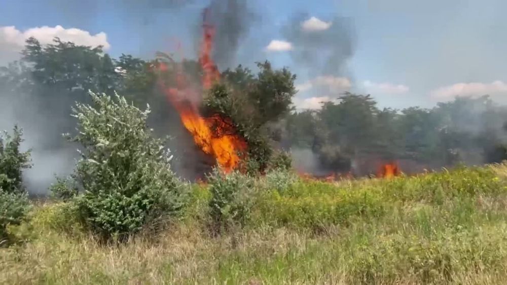 ��� ���������� ��� ����� ������ ������