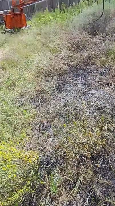 Ѹ�� �������������� ���������� ������ ������� �������������� ����� (���������� ����������)