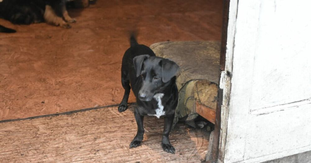 ������������� ����� ��� ��������: �� ������� �� ������ � ������