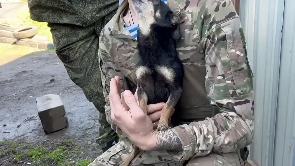 ���-�� � ���� ��� �� �� ������ ����������� ������� ��������� ���������� ��������� ����� "������"